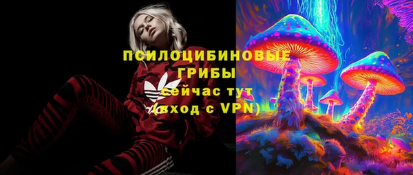 spice Алексин