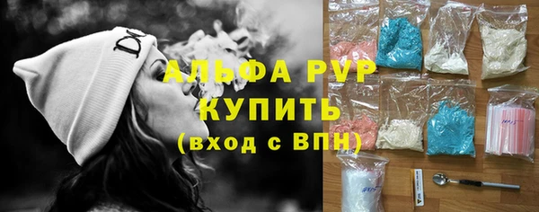 СК Алзамай