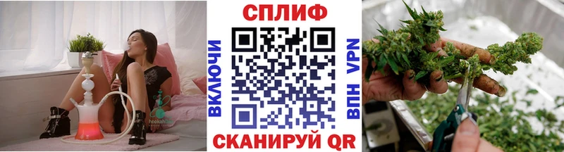купить наркоту  Моздок  Каннабис сатива 
